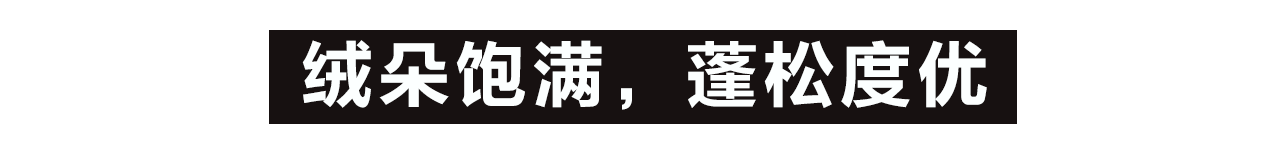 大标题1-1